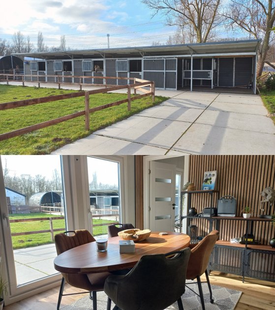 Nieuwe stallen en kantoor